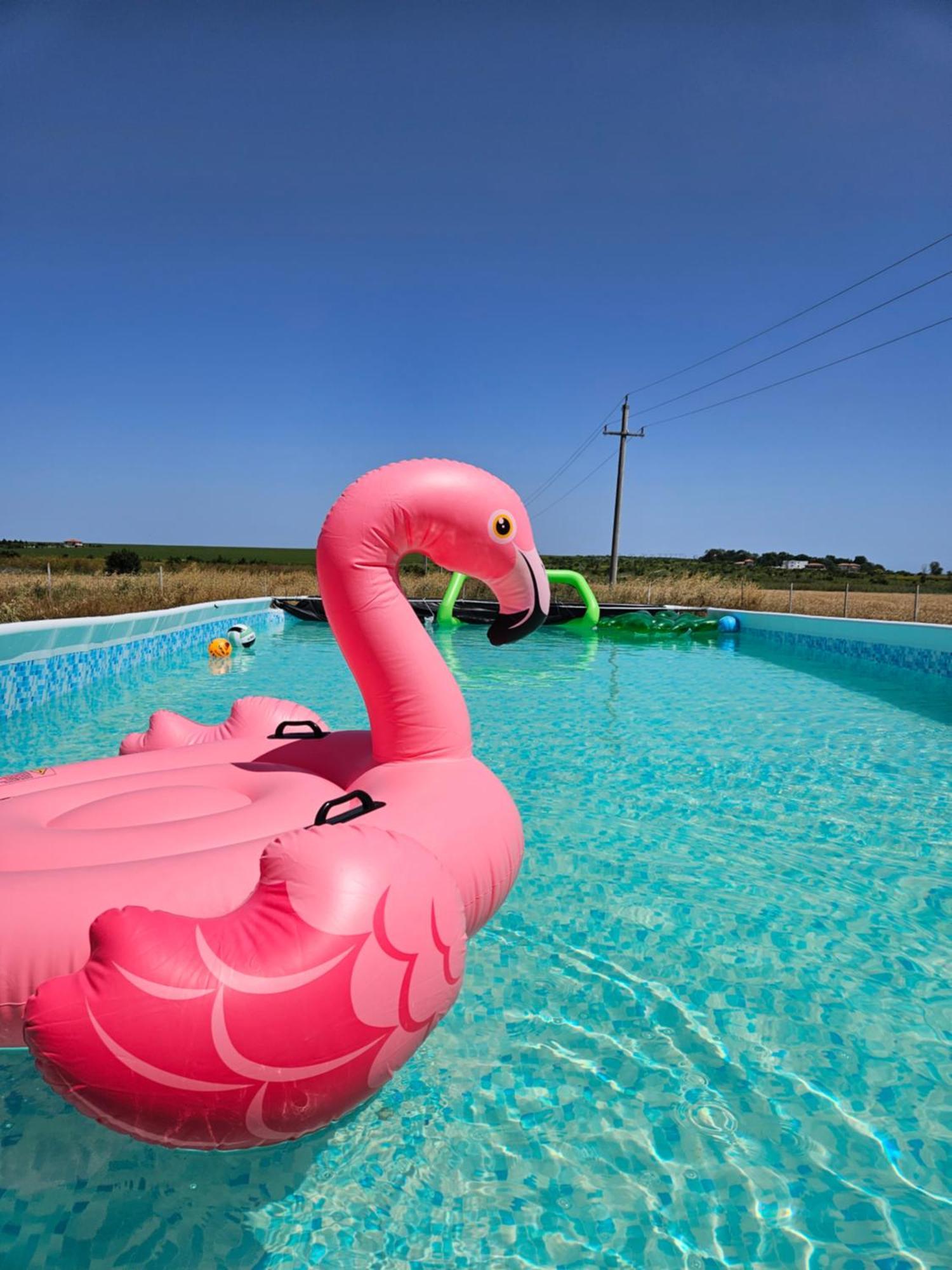 Mar A Lago Glamping23 Douazeci si Trei August Bagian luar foto